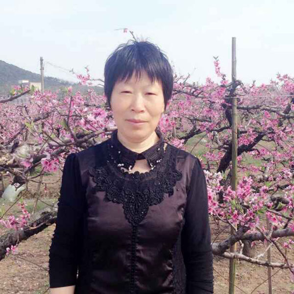 云伙计